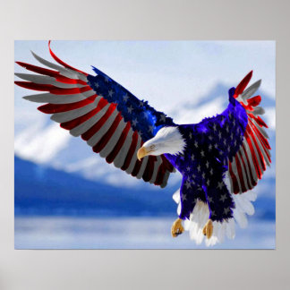 Ein amerikanischer Adler Poster