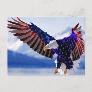 Ein amerikanischer Adler Postkarte