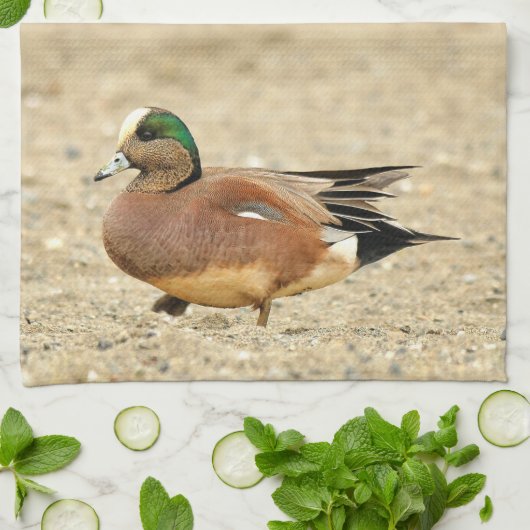 Ein amerikanisches Wigeon am Strand Geschirrtuch (Gefaltet)
