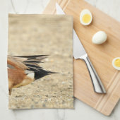 Ein amerikanisches Wigeon am Strand Geschirrtuch (Viertel Falte)