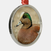 Ein amerikanisches Wigeon am Strand Silbernes Ornament (Rechts)