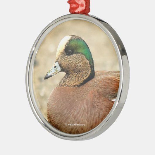 Ein amerikanisches Wigeon am Strand Silbernes Ornament (Links)
