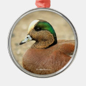 Ein amerikanisches Wigeon am Strand Silbernes Ornament (Vorne)