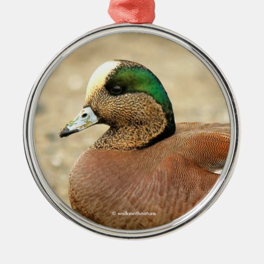 Ein amerikanisches Wigeon am Strand Silbernes Ornament (Vorne)