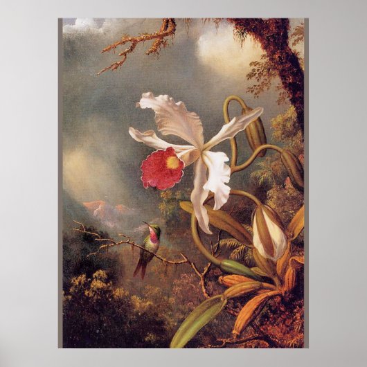 Ein Amethyst Hummingbird mit weißem Orchid Poster (Vorne)