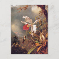 Ein Amethyst Hummingbird mit weißem Orchid