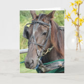 Ein amish Pferd auf den Hitching Post Jeden Anläss Karte (Gelbe Blume)