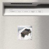 Ein amphibisches Angriffsfahrzeug 2 Magnet (In Situ (Geschirrspüler))