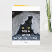 Ein anderes Jahr! Karte (Rückseite)