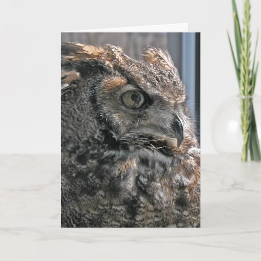 Ein anderes Jahr klüger Karte (Vorderseite)