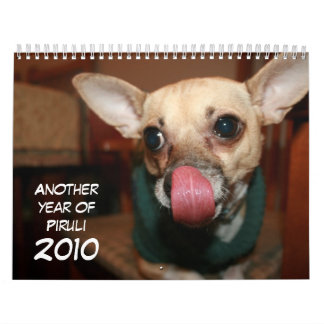 Ein anderes Jahr von Piruli - 2010 Kalender