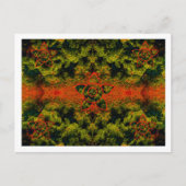 Ein anderes Licht Postkarte (Vorderseite)