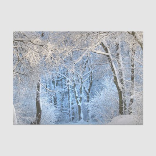 ein anderes Wintermärchenland Seidenpapier (Vorderseite)