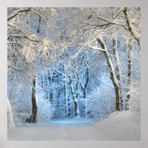 ein anderes Winterwunderland Poster