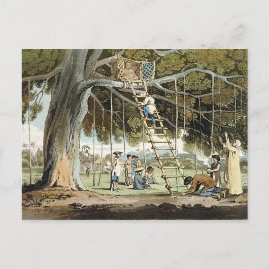 Ein Angebot von Ersten Früchten an den Gott von Fo Postkarte (Vorderseite)