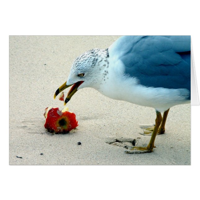 Ein Apfel am Tag.. (Vorderseite (Horizontal))