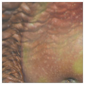 Ein Apfel am Tag... Stoff (Nahaufnahme)