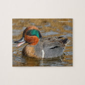 Ein Aquamariner Hingelente im Teich Puzzle (Horizontal)