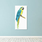 Ein Aquamariner Macaw Leinwanddruck (Insitu (Holzboden))