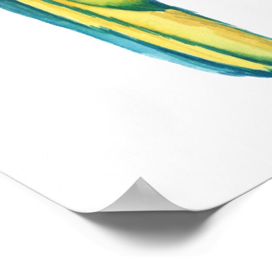 Ein Aquamariner Macaw Poster (Ecke)