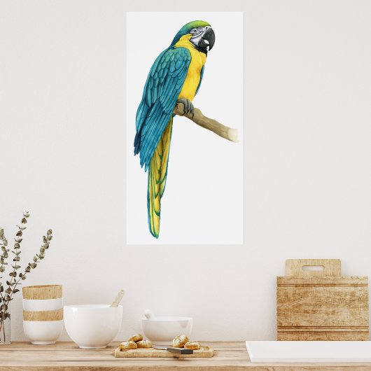 Ein Aquamariner Macaw Poster (Küche)