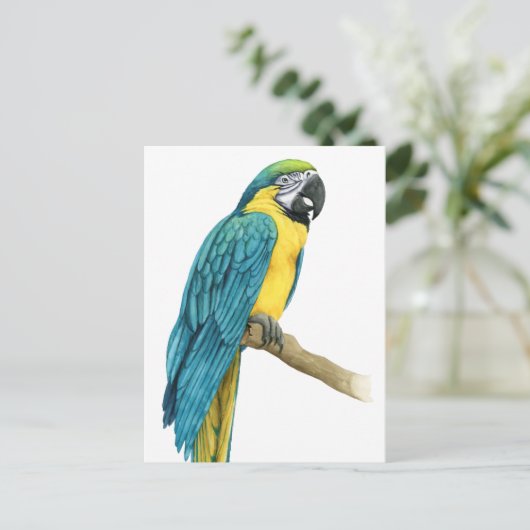 Ein Aquamariner Macaw Postkarte (Stehend Vorderseite)