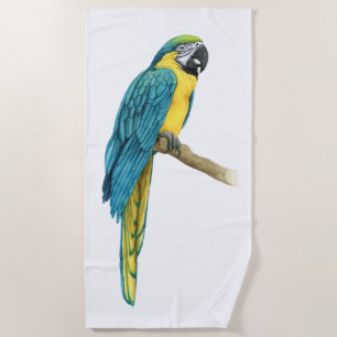 Ein Aquamariner Macaw Strandtuch