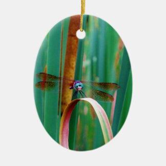 Ein aquamariner Mit Augen Drachenfliege mit Käfern Keramikornament