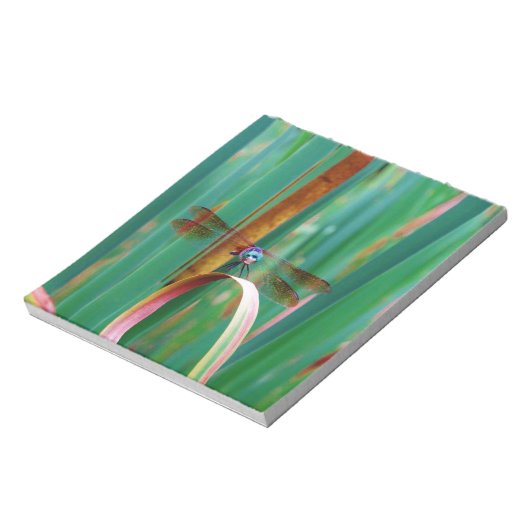 Ein aquamariner Mit Augen Drachenfliege mit Käfern Notizblock (Rotiert)