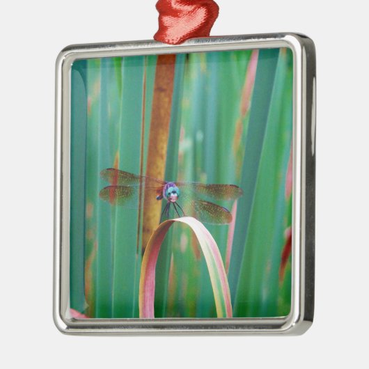 Ein aquamariner Mit Augen Drachenfliege mit Käfern Silbernes Ornament (Links)