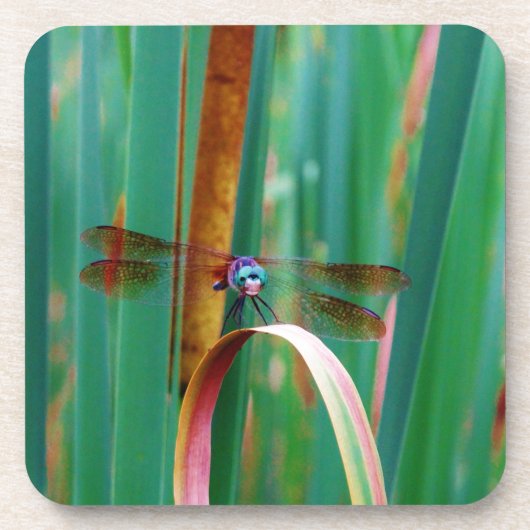 Ein aquamariner Mit Augen Drachenfliege mit Käfern Untersetzer (Vorderseite)