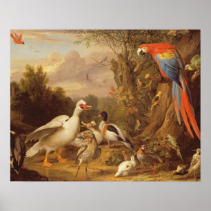 Ein Ara, Enten, Papageien und andere Vögel in eine Poster