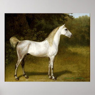 Ein arabischer Hengst in einer Landschaft - Jacque Poster