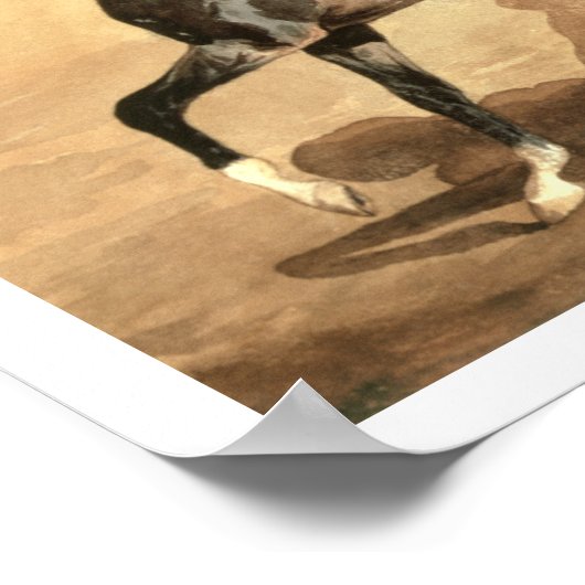 Ein Arabisches Pferd (g/c auf Papier gelegt) Poster (Ecke)