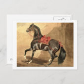 Ein Arabisches Pferd (g/c auf Papier gelegt) Postkarte (Vorne/Hinten)