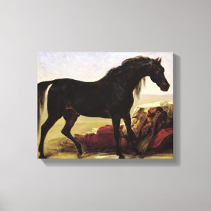 Ein arabisches Pferd Leinwanddruck