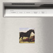 Ein arabisches Pferd Magnet (In Situ (Geschirrspüler))