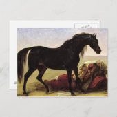 Ein arabisches Pferd Postkarte (Vorne/Hinten)