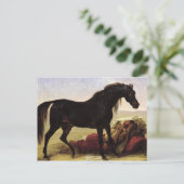 Ein arabisches Pferd Postkarte (Stehend Vorderseite)