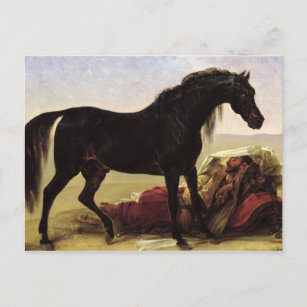 postcards set of 20 Polish Arabian Horses Arabische Pferde Pferdepostkarten 