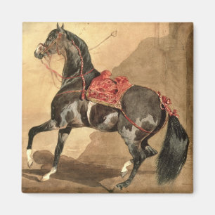 Ein arabisches Pferd (w/c niedergelegt auf Papier) Magnet