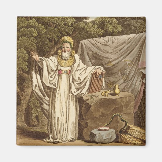 Ein Arch Druid in seinem gerichtlichen Gewohnheits Magnet (Vorne)