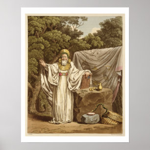 Ein Arch Druid in seinem gerichtlichen Gewohnheits Poster