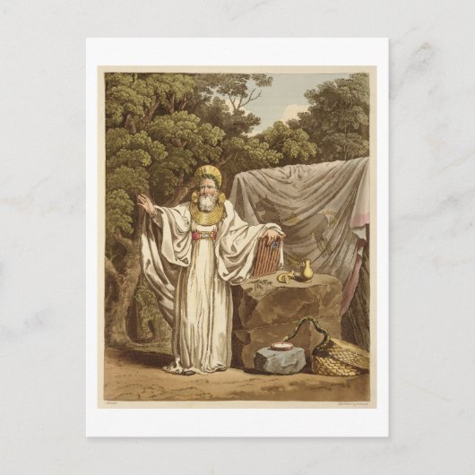 Ein Arch Druid in seinem gerichtlichen Gewohnheits Postkarte (Vorderseite)