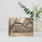 Ein Arch-Oakes-Postkarte Postkarte (Stehend Vorderseite)