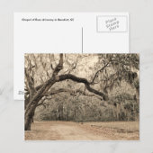 Ein Arch-Oakes-Postkarte Postkarte (Vorne/Hinten)
