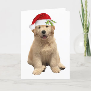 Ein Archie-Weihnachten Karte