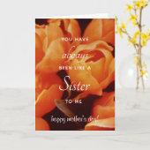 Ein Array von Orange Tulips, Amsterdam Street Mark Karte (Gelbe Blume)