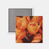 Ein Array von Orange Tulips, Amsterdam Street Mark Magnet (Vorderseite/Rückseite)