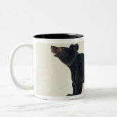 Ein asiatischer schwarzer Bär, "Ursus Tibetanus " Zweifarbige Tasse (Links)